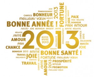 Bonne Anne 2013 !